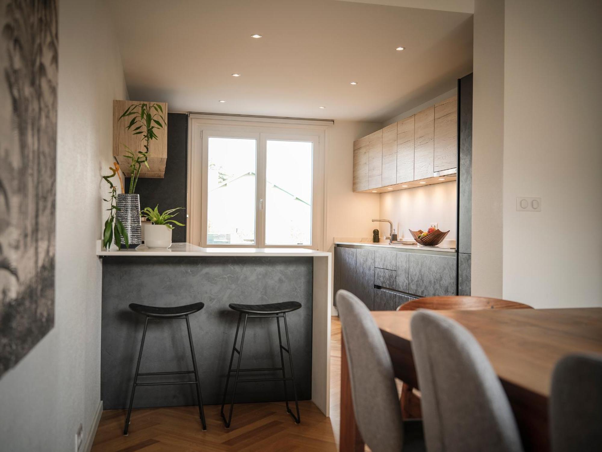 Venez Chez Vous Singa Villa Annecy