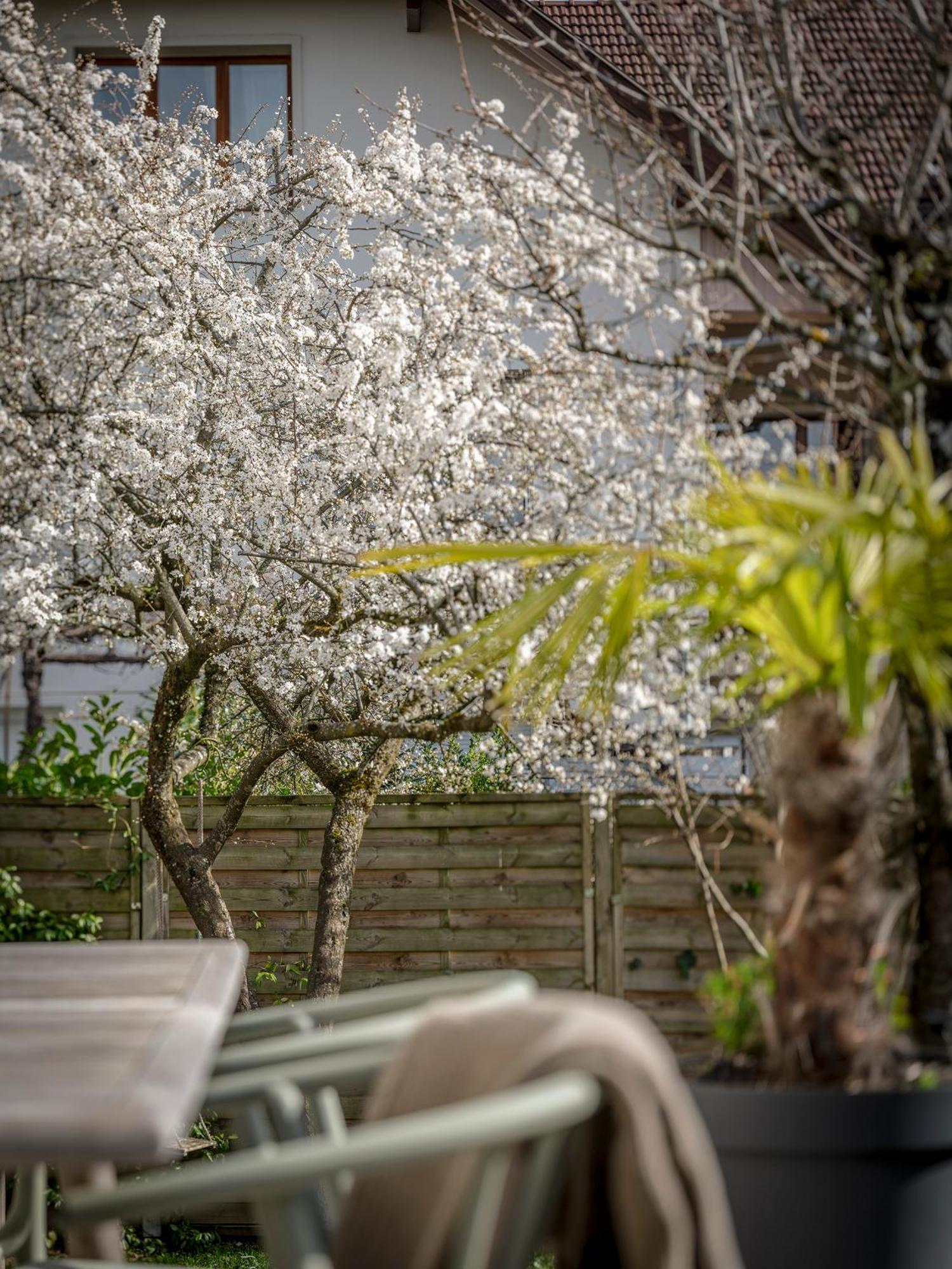 Venez Chez Vous Singa Villa Annecy